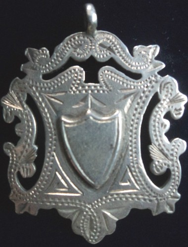 Argento sterling medaglia - sterling,