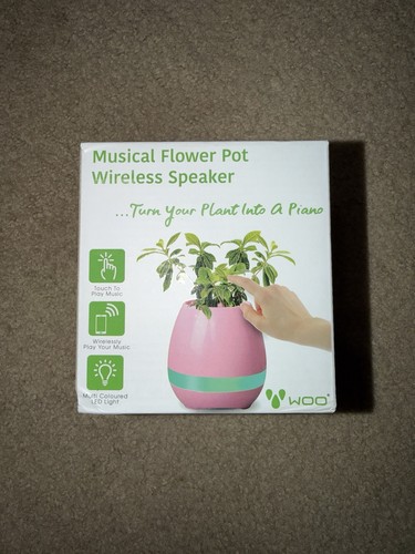 Woo vaso fiori musicale - vaso, /