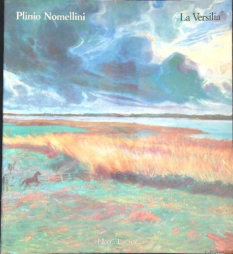 Plinio nomellini versilia - nomellini.,