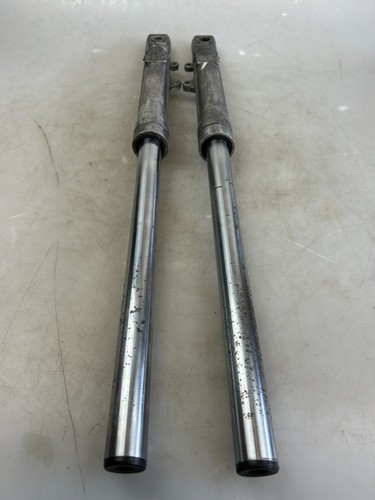 Hercules forcella - 2x,