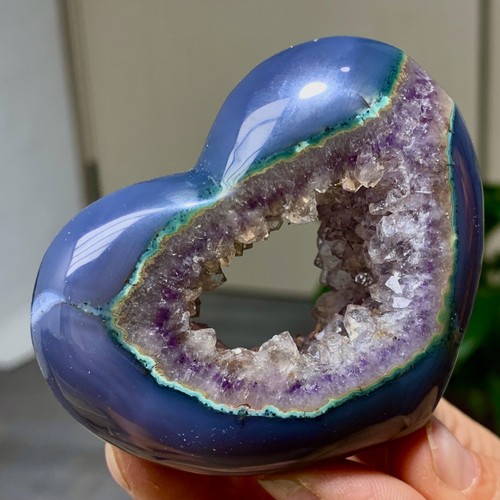 151g ametista naturale geode - ametista,