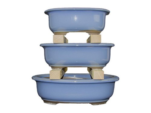 Vasi per bonsai giapponesi - bonsai,