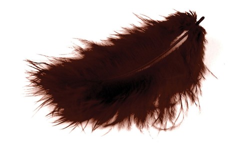 Meyco marabu piume marroni - piume,