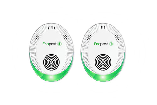2x1 eco pest - eco, insetti