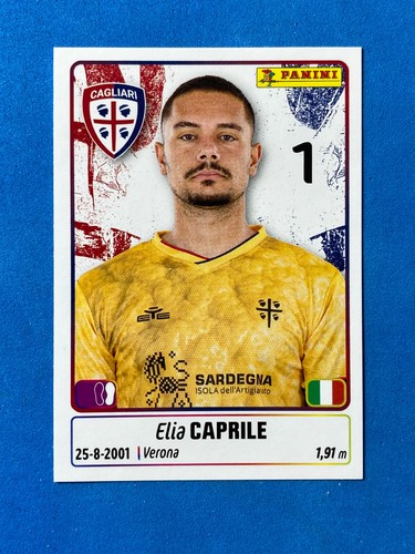 Figurine calciatori panini - figurine,