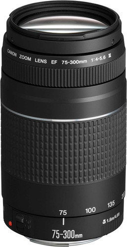 Canon teleobiettivo zoom - canon,