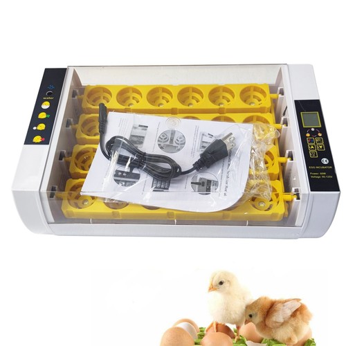 Incubatrice automatica per