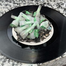 “Trincea Sofferente”opera