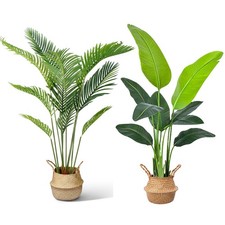 Piante Artificiali Come Vera