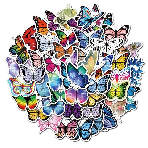 Pezzi set farfalla - 50, di