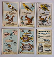 Figurine LAVAZZA anni 50 Come