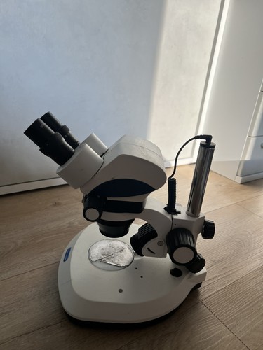 Microscopio stereoscopico - microscopio,