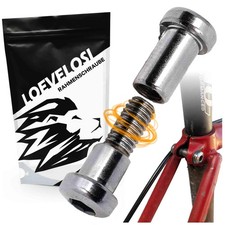 Vite di bloccaggio reggisella