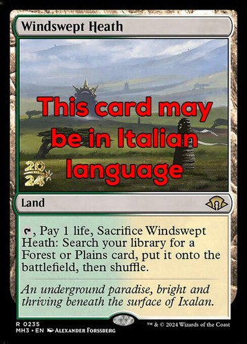 Mtg windswept heath foil - mtg,