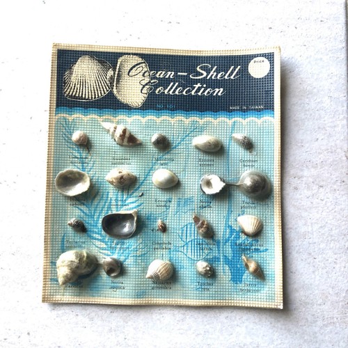 Foglio collezione piccole - collezione, di