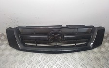 Griglia superiore radiatore