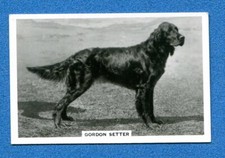 A524- SENIOR SERVICE 1939 - Dogs - n. 48 - GORDON SETTER