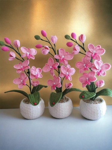 Orchidea uncinetto - orchidea,