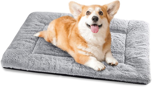 Cuccia cane interno taglia - cane,