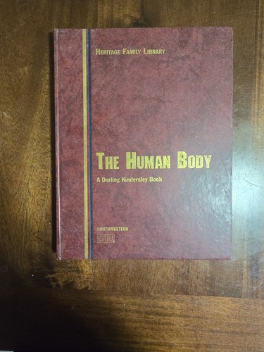 The human body dorling - human,