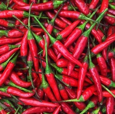 Thai Hot Pepper Seeds |