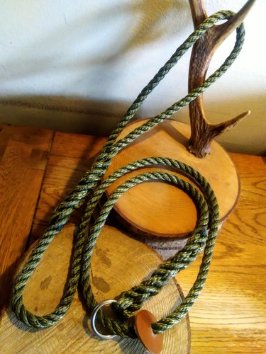 Guinzaglio scivolo cane