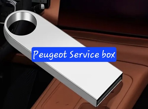 Peugeot service box - peugeot,