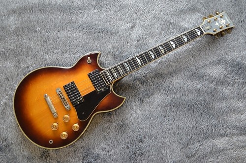 Chitarra elettrica usata