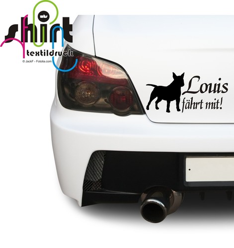 484 bull terrier nome cane - 484,