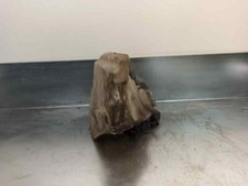 616783628089 vaschetta acqua