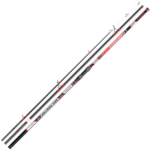 Canna trabucco andromeda sea - canna,