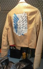 attack on titan shingeki no