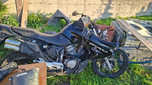 Honda transalp 650 - 650, v