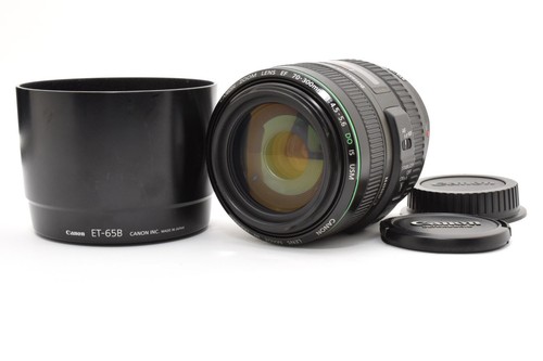 Canon 300mm 5 - f/4.5-5.6, do