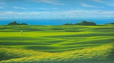 Green daniele fissore - daniele,