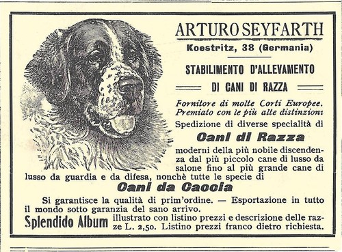 Arturo seyfarth koestritz - arturo,