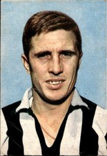 Figurina card juventus New