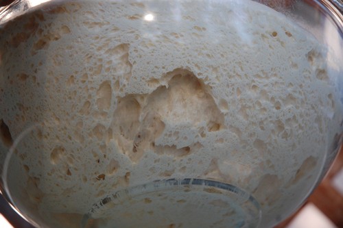 Nostro lievito antipasto - nostro,