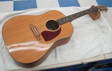 Chitarra elettrica acustica