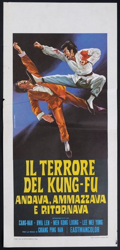 Locandina terrore del - il,