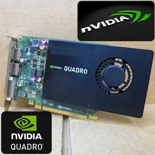 Scheda grafica nvidia quadro - scheda,