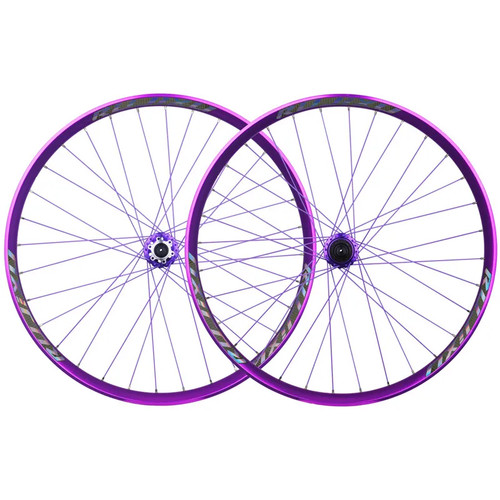 Set ruote bici mtb 26er - ruote, dh