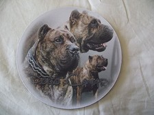 Tapis de souris - DOGO CANARIO BIS