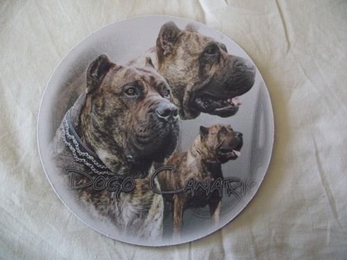 Tapis souris dogo canario - tapis, de
