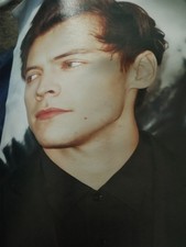Poster Harry Styles