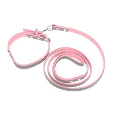  Passeggiate Con Gli Animali