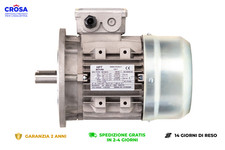 Motore elettrico trifase