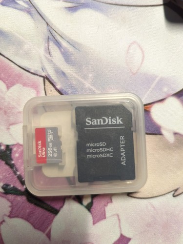 Micro 256 gb sandisk - micro, sd
