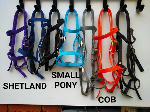 Bridle shetland piccolo pony - shetland,,