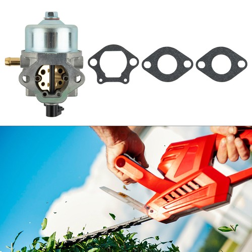 Carburatore carboidrati adatto